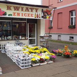Kandybowicz Janina. Kwiaty, Znicze (Dębno )