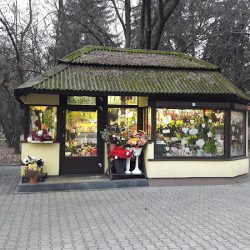 Karina. Kwiaciarnia (Kraków )