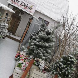 Katarzyna Jałocha Pracownia Florystyczno - Upominkowa Art Dekor (Mirzec en Merlo San Luis)