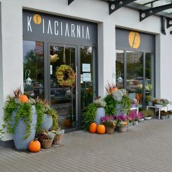 Kfiaciarnia Galeria Zaspa (Gdańsk )