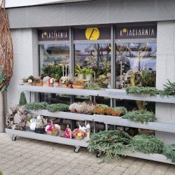 Kfiaciarnia Przytulna (Gdańsk )
