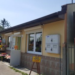 Kieruzel Małgorzata. Kwiaciarnia (Pabianice )