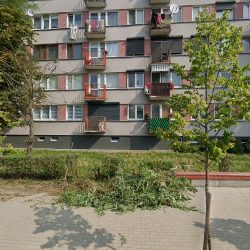 Kłaniecki Andrzej. Kwiaciarnia (Słupca en Merlo San Luis)
