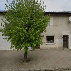 Klonowska Danuta. Kwiaciarnia (Strzegowo )