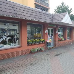 Koncewicz Joanna Kwiaciarnia (Zdzieszowice en Merlo San Luis)