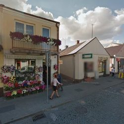 Kozera Julian. Kwiaciarnia (Ryki en Merlo San Luis)