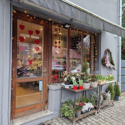 Krakowska Kwiaciarka (Kraków )