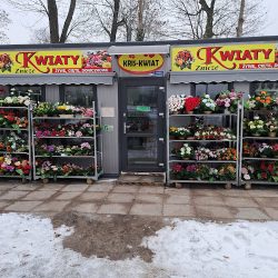 Kris-kwiat Sprzedaż Kwiatów I Zniczy (Zduńska Wola )