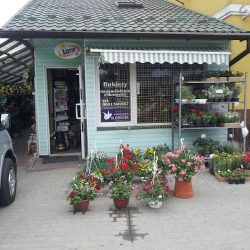 Król Anna Kwiaciarnia (Szczebrzeszyn en Merlo San Luis)