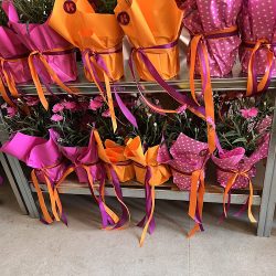 Krystyna Kowalczyk Pracownia Florystyczna (Kęty )