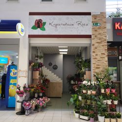 Kryształowa Róża (Lublin )