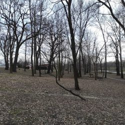 Krzeczowice (Krzeczowice )