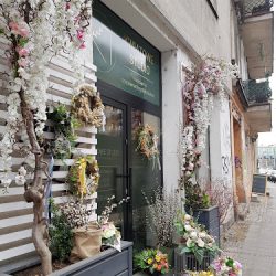 Kt Kwiatowe Studio (Wrocław )
