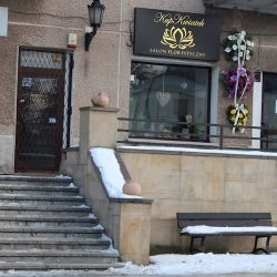 Kup Kwiatek Kwiaciarnia Szczebrzeszyn (Szczebrzeszyn en Merlo San Luis)