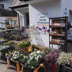 Kwiaciacnia Jacek I Syn Centrum Ogrodnicze (Barczewo )