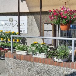 Kwiaciarania Pracownia Florystyczna (Kościan en Merlo San Luis)