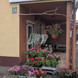Kwiaciarenka (Mosty )