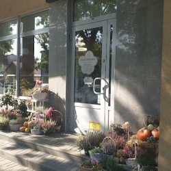 Kwiaciarenka Maria Ruta (Mińsk Mazowiecki )