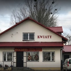 Kwiaciarnia (Domaniewice )