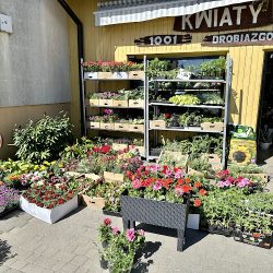 Kwiaciarnia 1001 Drobiazgów (Nowy Żmigród )