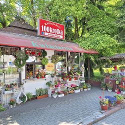 Kwiaciarnia 100krotka (Gliwice )