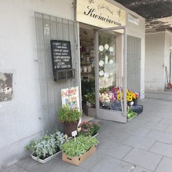 Kwiaciarnia (Kraków )
