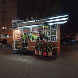 Kwiaciarnia (Gdynia )