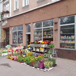 Kwiaciarnia (Gorzów Wielkopolski )