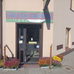 Kwiaciarnia (Dłutów )