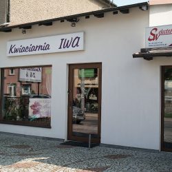 Kwiaciarnia 24h Iwa Iwona Wierzbińska (Leszno en Merlo San Luis)
