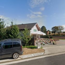 Kwiaciarnia (Odolanów en Merlo San Luis)