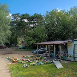 Kwiaciarnia (Gostynin )