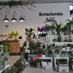 Kwiaciarnia 3 Kolory (Lipno )
