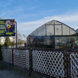 Kwiaciarnia (Gniezno en Merlo San Luis)