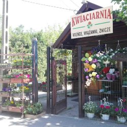 Kwiaciarnia (Konstancin-Jeziorna )