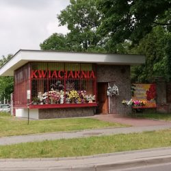 Kwiaciarnia (Płock )