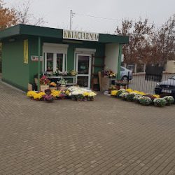Kwiaciarnia (Jabłonna )