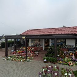 Kwiaciarnia 4 Sezony (Konin )