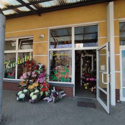 Kwiaciarnia (Olsztyn )