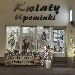 Kwiaciarnia (Kolbuszowa )