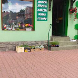Kwiaciarnia (Działoszyce en Merlo San Luis)