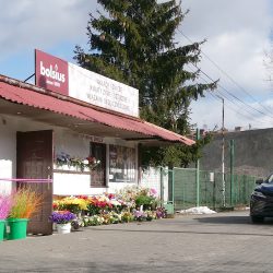 Kwiaciarnia (Bydgoszcz )
