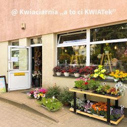 Kwiaciarnia 