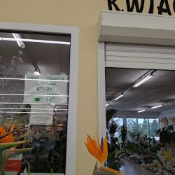 Kwiaciarnia Abc Lubaczów (Lubaczów )