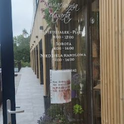 Kwiaciarnia Abs Dekoracje I Aranżacje (Wejherowo )