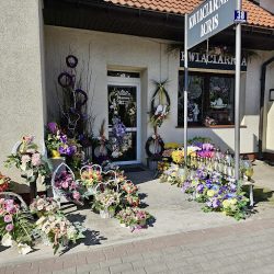 Kwiaciarnia Acris Agnieszka Sztandarska (Lubicz Dolny )