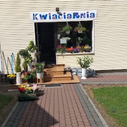 Kwiaciarnia Aga (Mogilno )