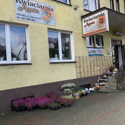 Kwiaciarnia „agata” Warlubie (Warlubie )
