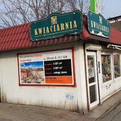 Kwiaciarnia Agawa (Kłodzko )