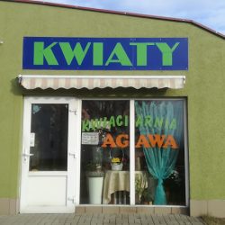 Kwiaciarnia